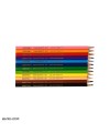 مداد رنگی 12 رنگ پیکاسو استوانه ای Picasso 12 Color Pencil 